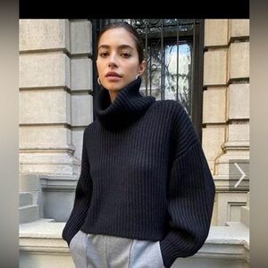 NWT NEW Aritzia Black Merino Wool Guell Sweater boxy turtleneck ribbed knit XS